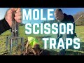 SCISSOR TRAP for MOLES? Why? When? Where?