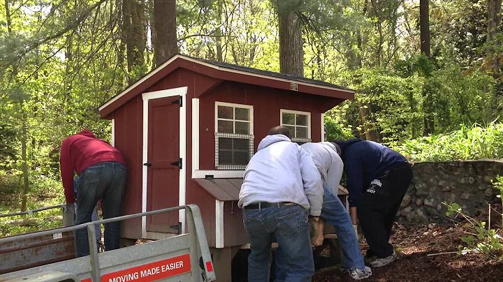 Getting the Coop