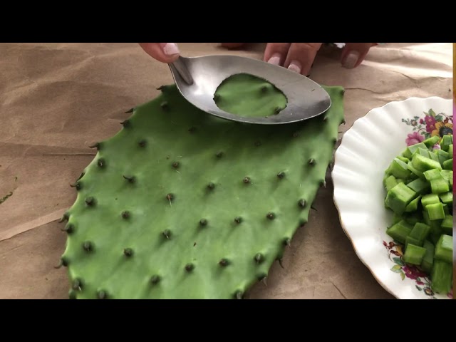 How to Clean Nopales - Como Limpiar Nopales {Video}