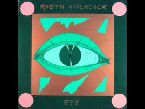 Robyn Hitchcock - Cynthia mask