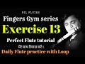 FLUTE EXERCISE 13 | BANSURI LESSON | FLUTE TONGUING FOR  BEGINNER | FINGERS GYM SERIES | NIL FLUTES