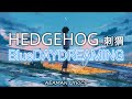 Hedgehog 刺猬 - Blue Daydreaming 白日梦蓝 | 歌曲歌词 &amp; lyrics