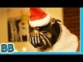 Christmas with BaneCat!