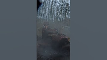 Swamp Devil attacks 😅 @ewelyna13 @Mesykovsky