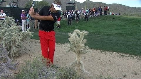 Victor Dubuisson converts unbelievable shot from cactus at Accenture