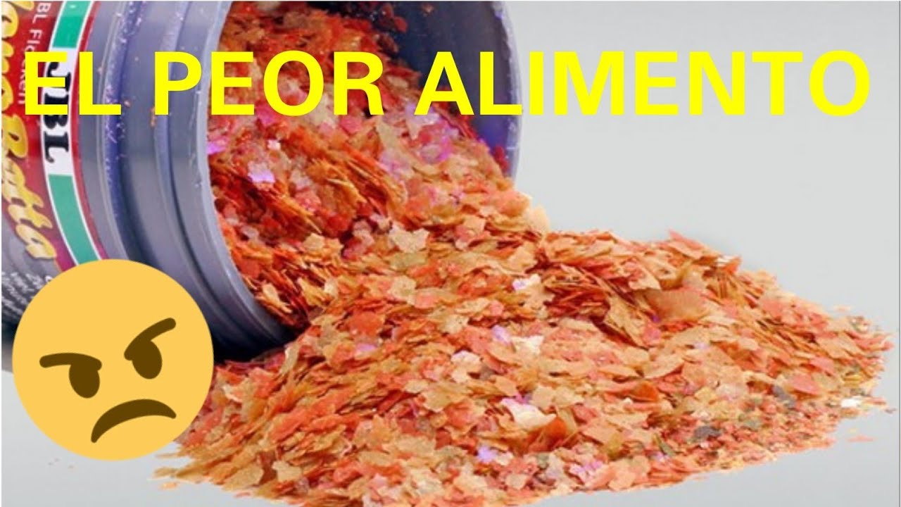 Mínimo diferencia egipcio FLAKES OR FLAKES: THE WORST FOOD FOR YOUR FISHES - YouTube