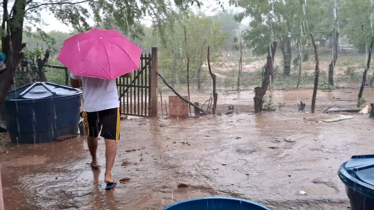 Enchendo as caixas com água da chuva 