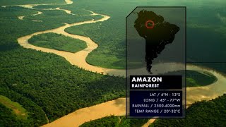 Nature's Microworlds: Amazon (Accessible Preview)