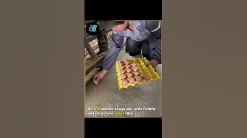 Workers Packing And Moving Egg Trays. 😱 #shorts #viral #trending