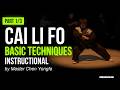 Cai Li Fo Kung Fu Basic Techniques by Master Chen Yongfa Instructional | Part 1/3 [DW049]