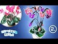 Цветы из бисера "ЦИКЛАМЕНЫ" № 2 цветы — Бисероплетение Мастер класс ✔️Beaded flowers