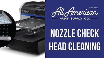 Epson F2100 Nozzle Check & Head Cleaning | AA Print Supply