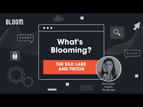 TikTok for Businesses, The Silk Labs' success story | What's Blooming?