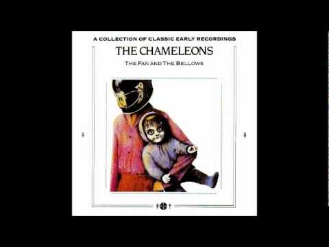 The Chameleons - endlessly falling