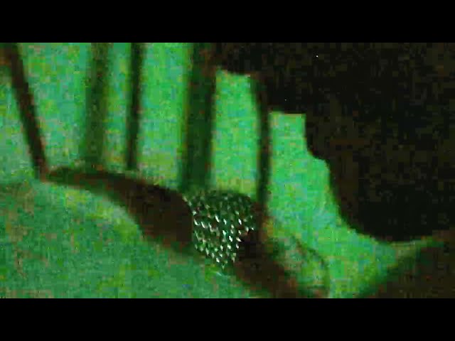 thumbnail img16x9