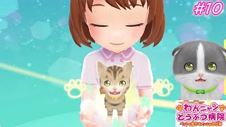 Meow! #10 [WanNyan Animal Hospital: The important job of