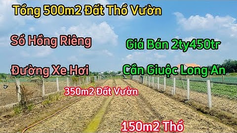 Đất Cần Giuộc / Bán 500m2 Thổ Vườn Mặt Tiền Đường Đan 3,5m Cách Đường Đoàn Văn Diệu 30m