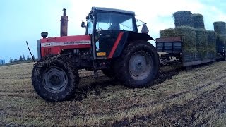 Żyto +wtopa 2016/MTZ/Metal-Fach/MasseyFerguson/Ursus/Mafia Lubelskie/Agro PL