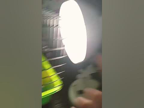 как ухаживать за крысой (скоро выпущу видео) - YouTube