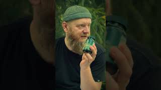 Лечение печени, как сделать печень здоровой?