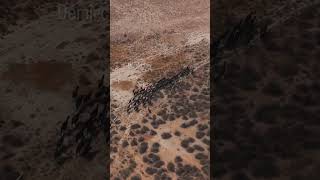 Bazen Yalnız Kalmak Iyidir