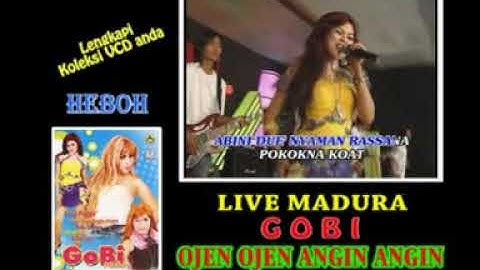 ALBUM GOBI MADURA 