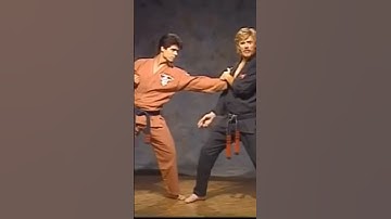 kenpo karate lone kimono #martialarts #kenpo
