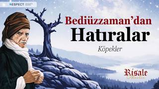 Bediüzzaman'dan Hatıralar | Köpekler