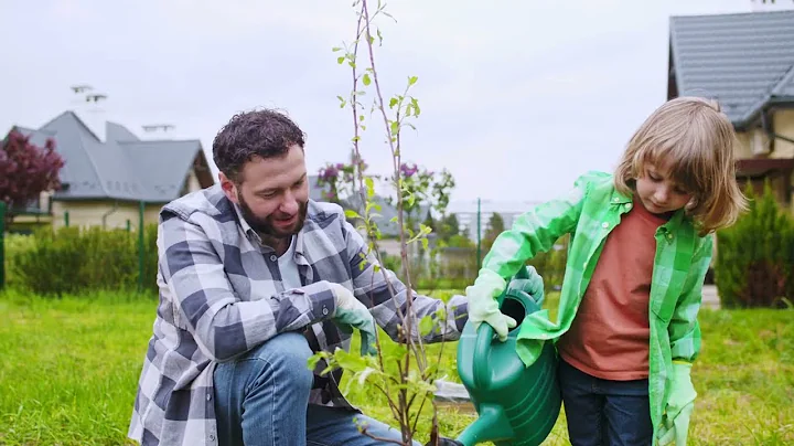 From 50 Million to 2 Billion Trees: One family's journey to plant a forest