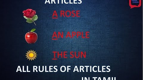 ARTICLES - A? An? The? | How can I use these correctly?