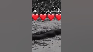 فما ظنكم برب العالمين 😭 القرآن الكريم راحه نفسيه
