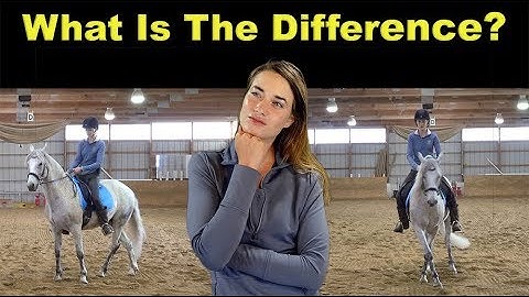 Turn On The Forehand VS Turn On The Haunches 🐴