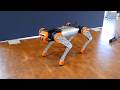 DENA Robotics presenteert Nederlandse robothond en werkt aan humanoïde robot