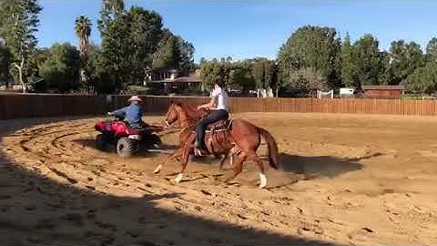 Nicole Slater - Chris Cox Horsemanship Day 3