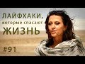 Выжить в пустыне // Всё как у зверей #91