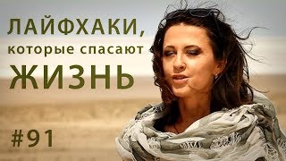 Как выжить в пустыне: горячие лайфхаки // Всё как у зверей #91