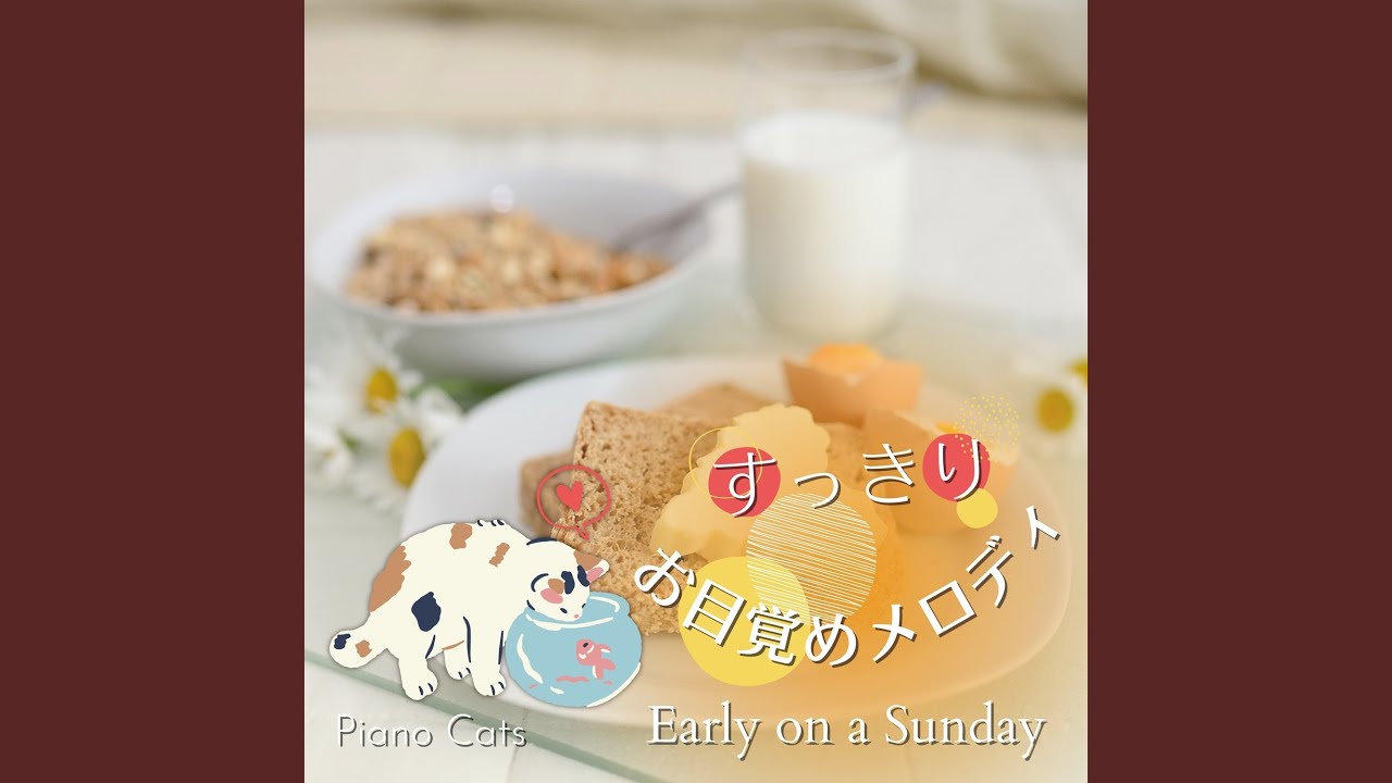 Bright Lights and Sparkling Surfaces