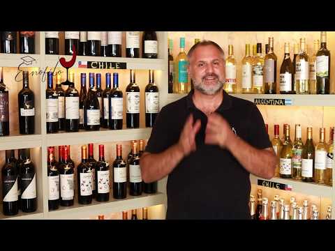 Vídeo: Como Comprar Um Bom Vinho Em