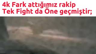 Mlbb Türkiye Slander