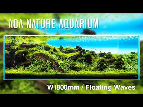 [ADAview] Floating Waves - W1800mm Nature Aquarium Layout-【EN/JP Sub.】