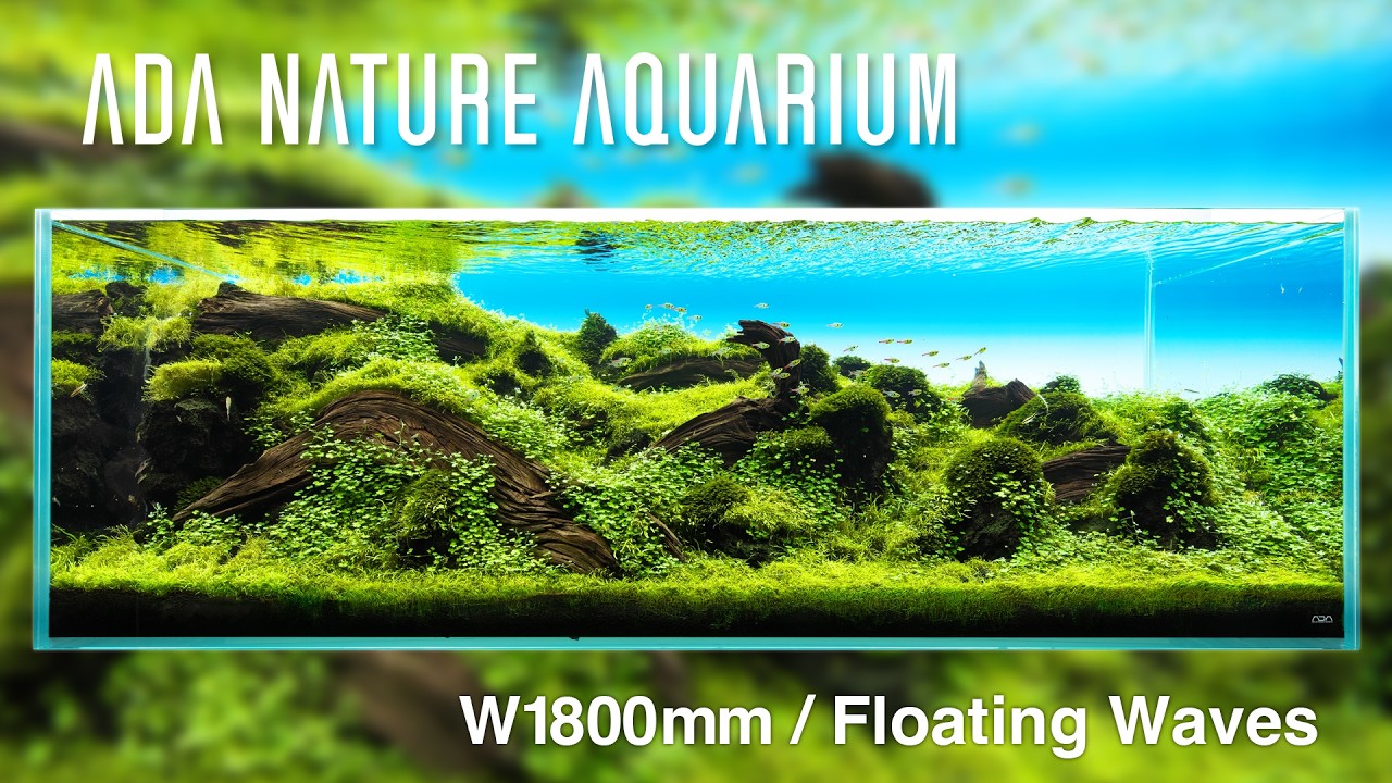 [ADAview] フローティング・ウェーブス - W1800mm Nature Aquarium Layout-【EN/JP Sub.】
