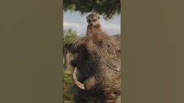 Thumbnail of “No Stories, Timon & Pumbaa!” | Mufasa: The Lion King