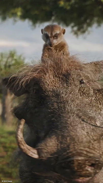 “No Stories, Timon & Pumbaa!” | Mufasa: The Lion King