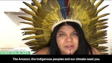 The Amazon is Still Burning - Here