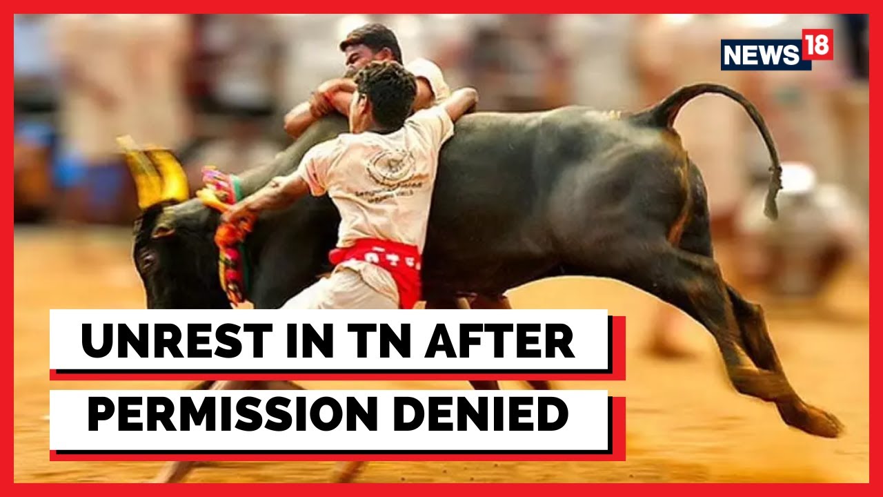Unrest In Tamil Nadu After Permission Was Denied To Conduct Bull Sport | Jallikattu News |Tamil Nadu