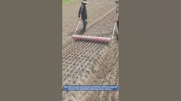 [Green Onion Planting] Drilling Uniform Spacing Holes with a Roller! Precision Sowing Secret