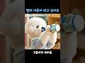 평생 내 아기강아지🐶🩵