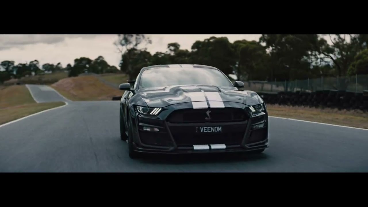 Celebrating 60 Years of Mustang with Shelby