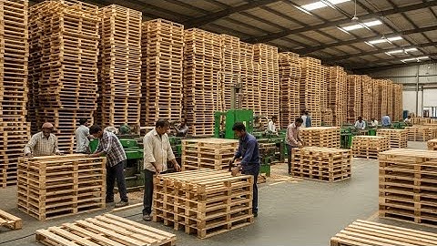 How Pallets Are Built From Scratch | Crafting Pallets With Skilled Workers