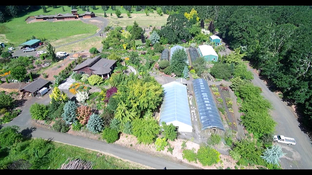 Dancing Oaks Nursery, Monmouth Oregon YouTube
